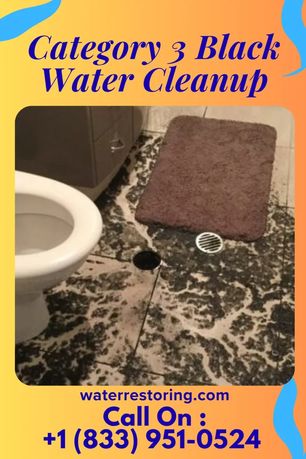 Category 3 Black Water Cleanup in Kelford, NC