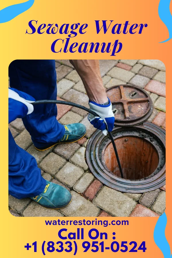 Sewage Water Cleanup in Kelford, NC