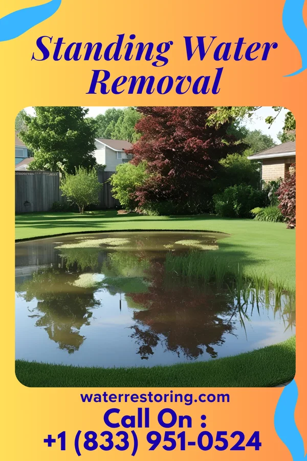 Standing Water Removal in Kelford, NC
